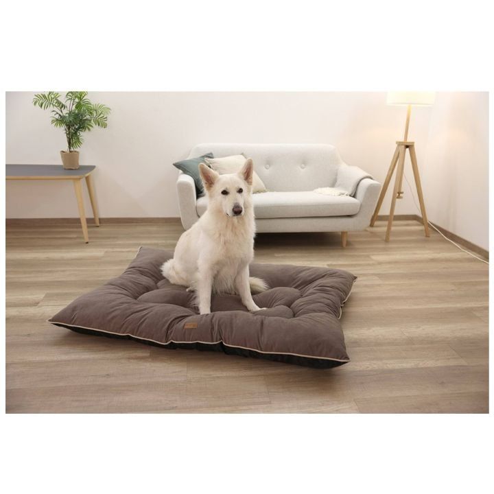 kerbl-dzaghlis-leibi-photo-3