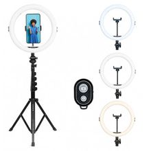 Product image of Agfaphoto Realiview AR11XL განათება