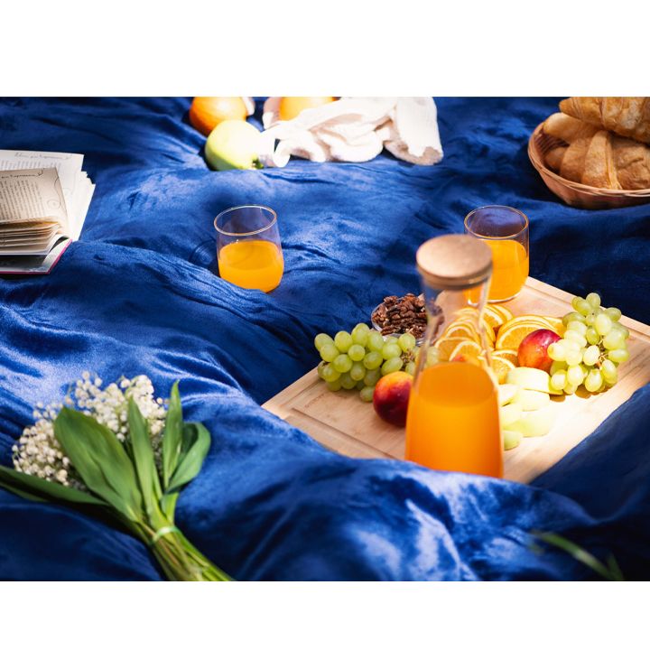 ardesto-pledi-photo-3