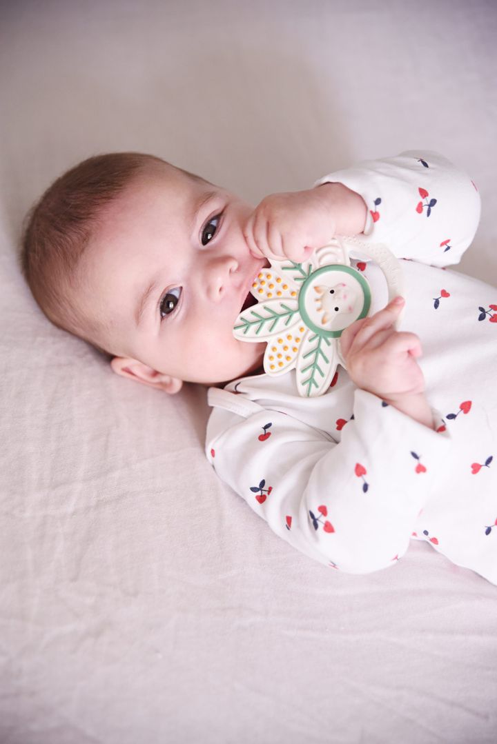 sophie-la-girafe-ghrdzilebis-masazhori-photo-3