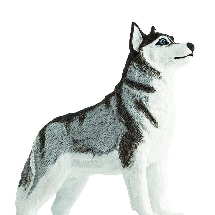 safari-siberian-husky-toy-satamasho-figura-photo-4