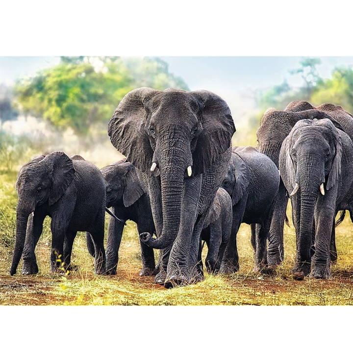 trefl-african-elephants-fazli-photo-2