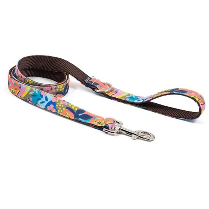 brott-dzaghlis-sabeli