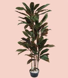 Product image of ხელოვნური მცენარე ფიკუსი 180სმ