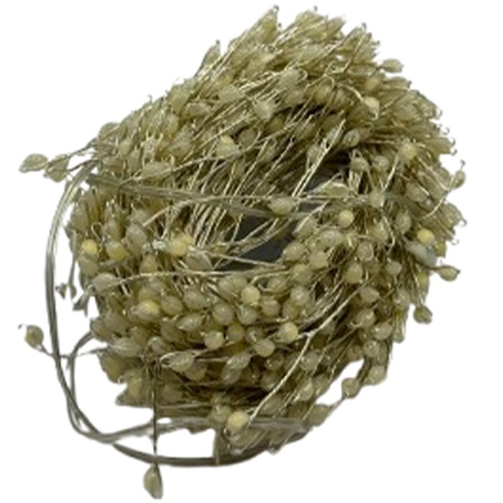 sashobao-ganateba-20m-photo-3