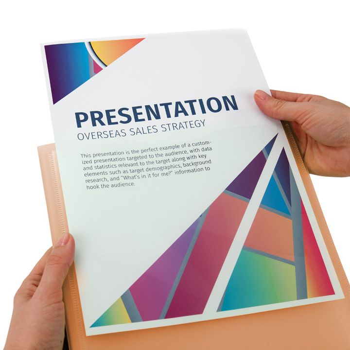 axent-saqaghalde-failebit-4-1020-25-a-20faili-narinjisferi-photo-4