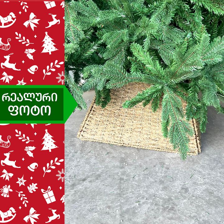 nadzvis-khis-otkhkutkhedi-motsnuli-kalata-photo-2