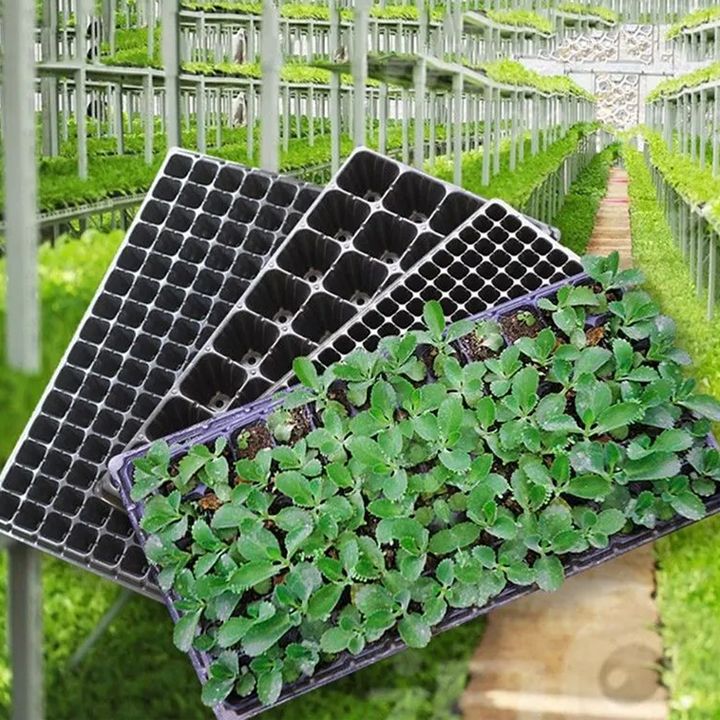 sachitile-kaseta-72-ujredit-photo-4