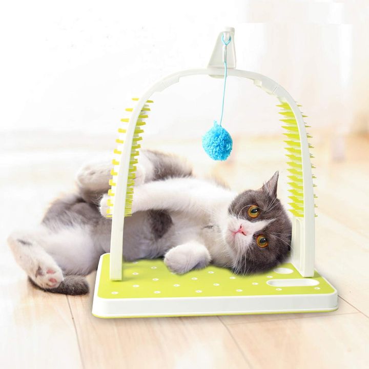 all-for-paws-katebis-satamasho-photo-4