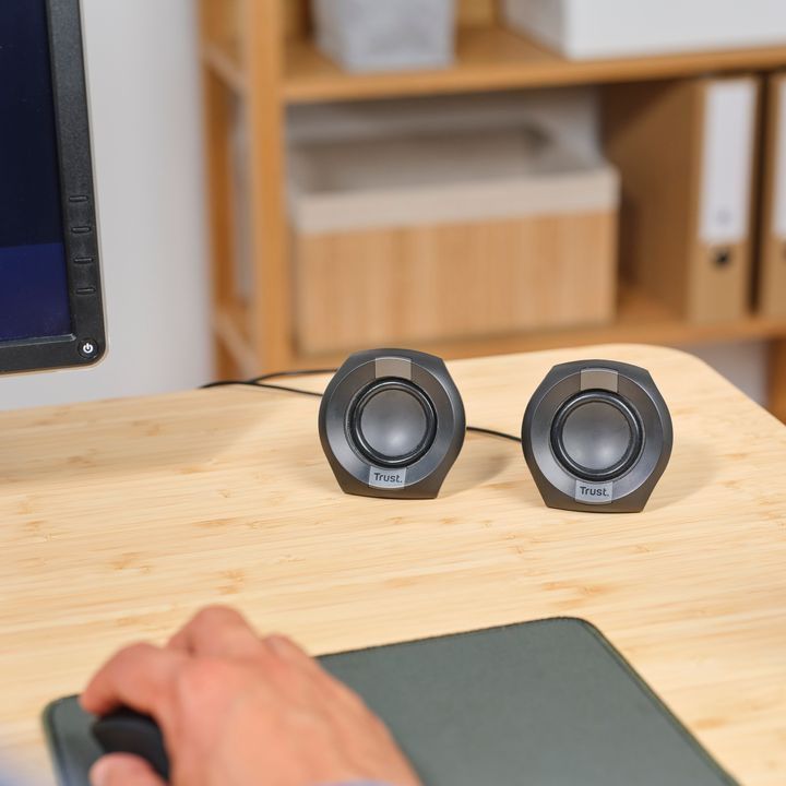 trust-polo-20-kompiuteris-dinamikebi