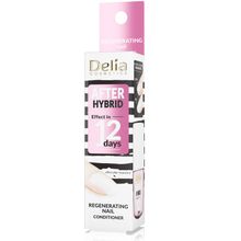 Product image of Delia AFTER HYBRID 11მლ ფრჩხილის აღმდგენი კონდინციონერი