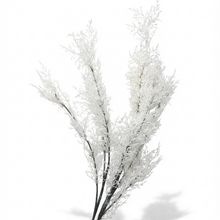 Product image of Eterna - ხელოვნური ყვავილი