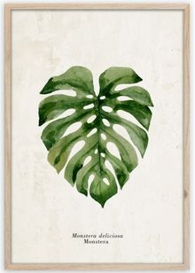 Product image of სურათი ჩარჩოში Styler Monstera FP037 50x70 სმ