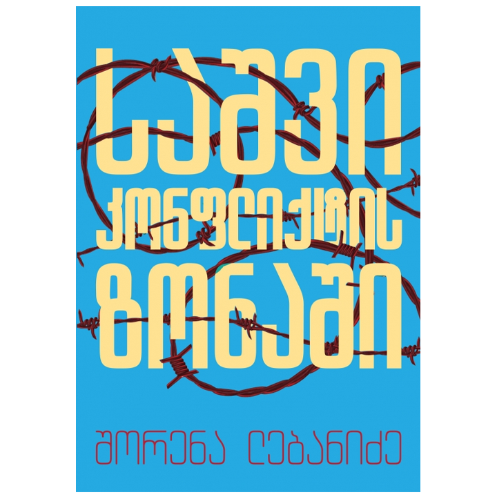 shorena-lebanidze---sashvi-konfliqtis-zonashi-akhali