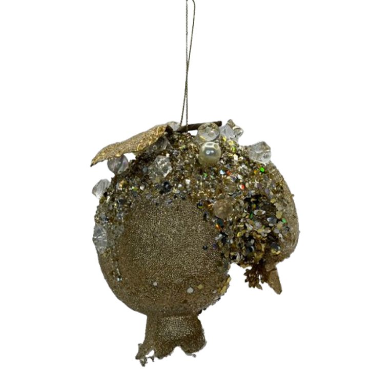 nadzvis-khis-satamasho-brotseuli-photo-2