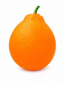 Product image of XL ზომის ფორთოხლის ფორმის სქვიში