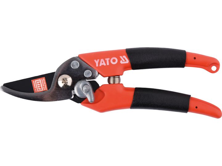 vazis-makrateli-yt-8805