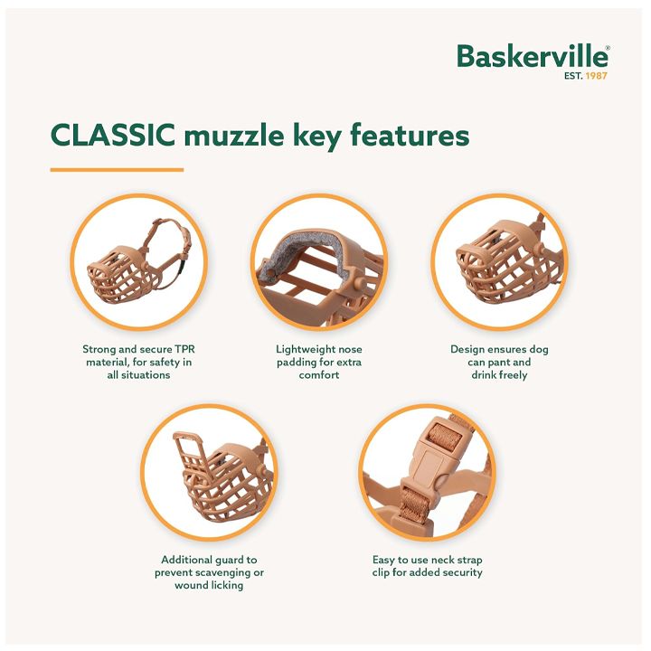 baskerville-classic-alikapi-dzaghlebistvis-photo-4