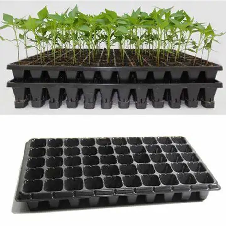 sachitile-kaseta-72-ujredit-photo-2