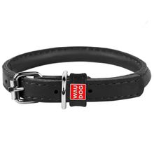 Product image of COLLAR ძაღლის საყელო