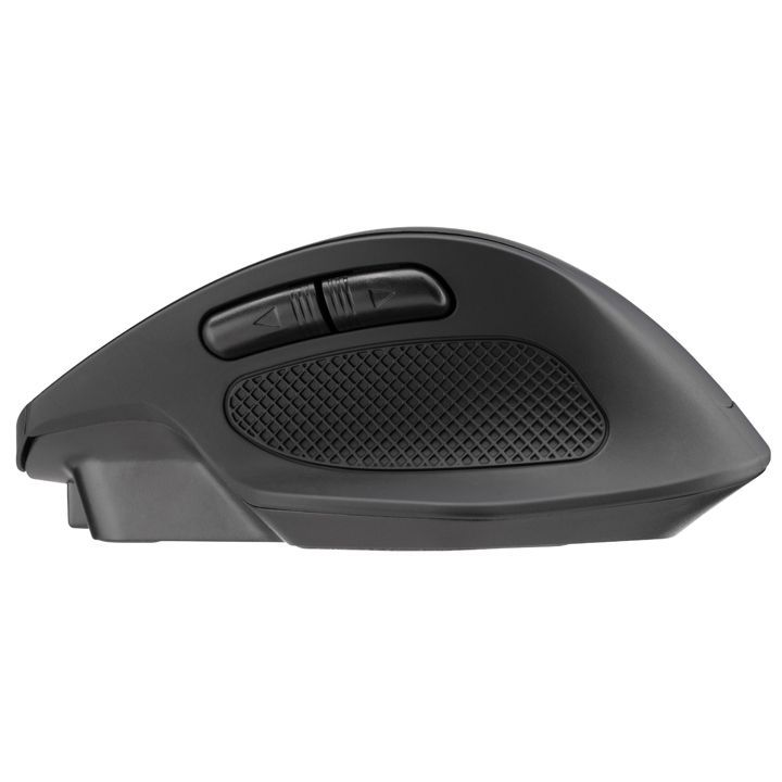 2e-mf2010-black-usadeno-mausi-photo-4