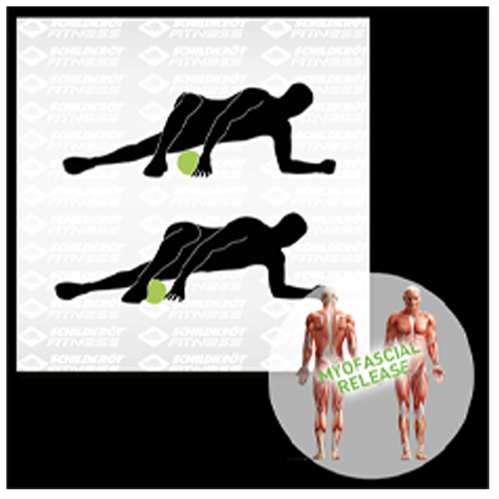 schildkrt-mf-roll-myofascial-roller-roleri-savarjisho-aqsesuarebi-photo-3