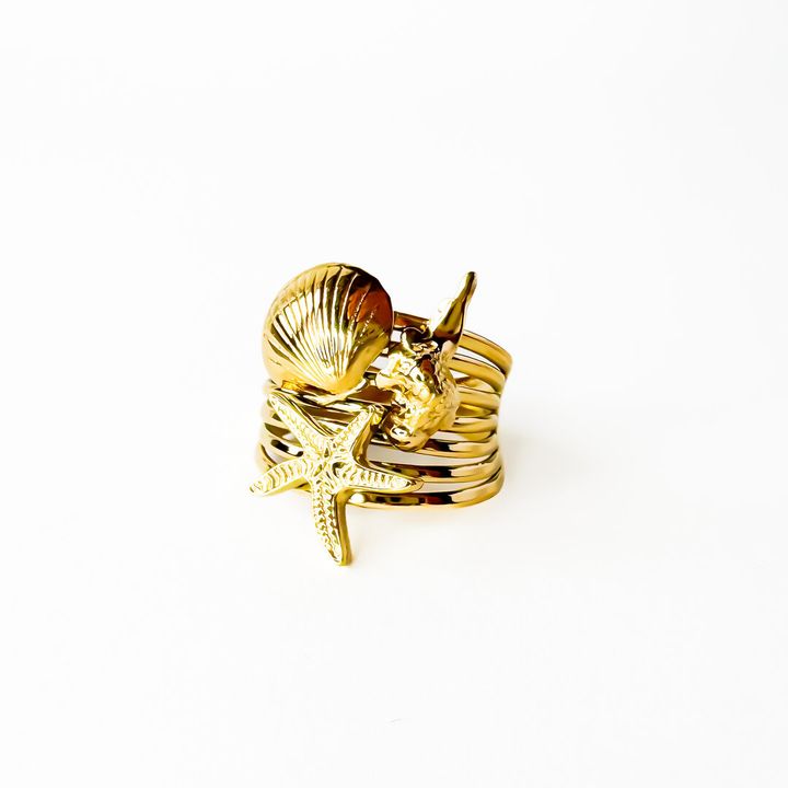 titanis-mooqrovili-bechedi-zghvis-detalebit