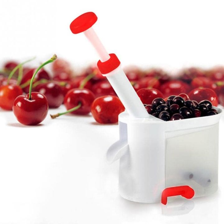 2405-25-kurkis-gamosatsleli-photo-2