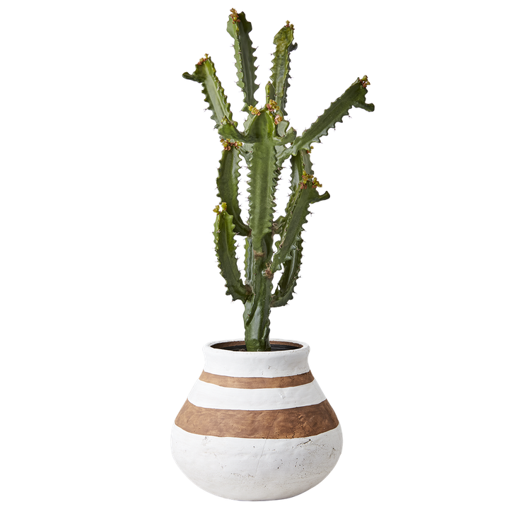 laboratory-my-home-qotani