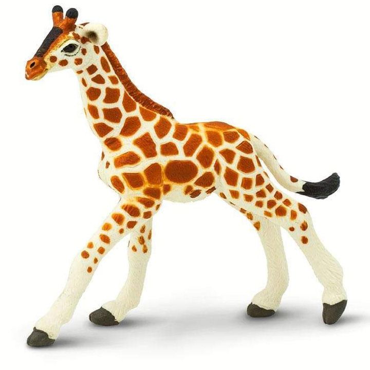 safari-reticulated-giraffe-baby-toy-satamasho-figura-photo-4