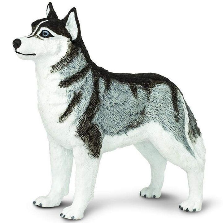 safari-siberian-husky-toy-satamasho-figura