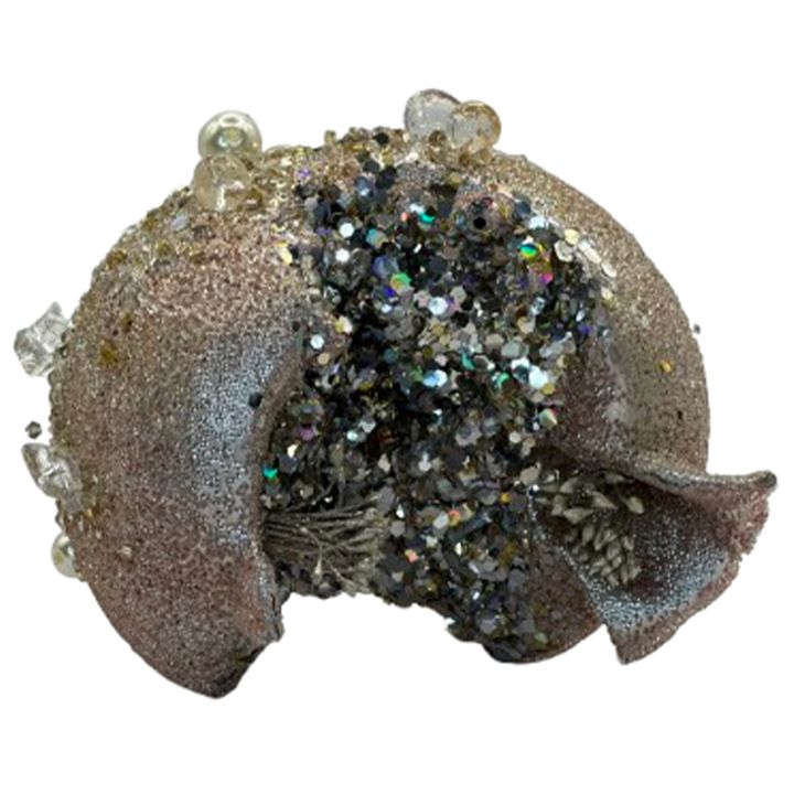 nadzvis-khis-satamasho-brotseuli-photo-2