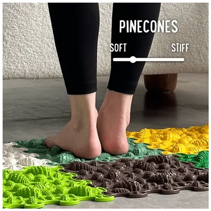 ortoto-pinecones-khalicha-fazli-photo-4