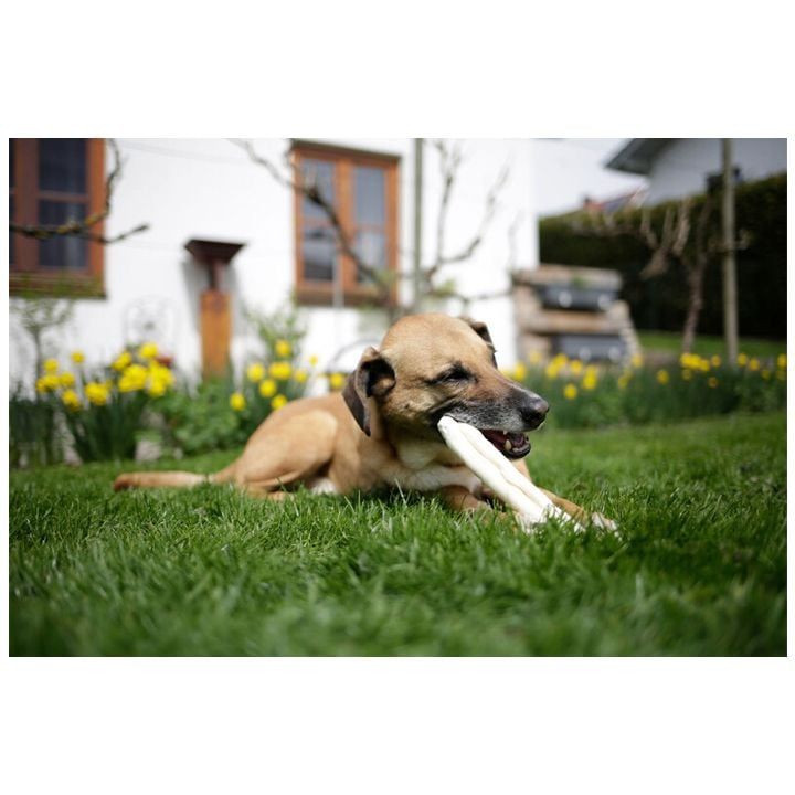 kerbl-dzaghlis-saghech-sakvebi-chkhirebi-3ts-photo-3