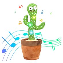 Product image of მოცეკვავე და მოლაპარაკე კაქტუსი