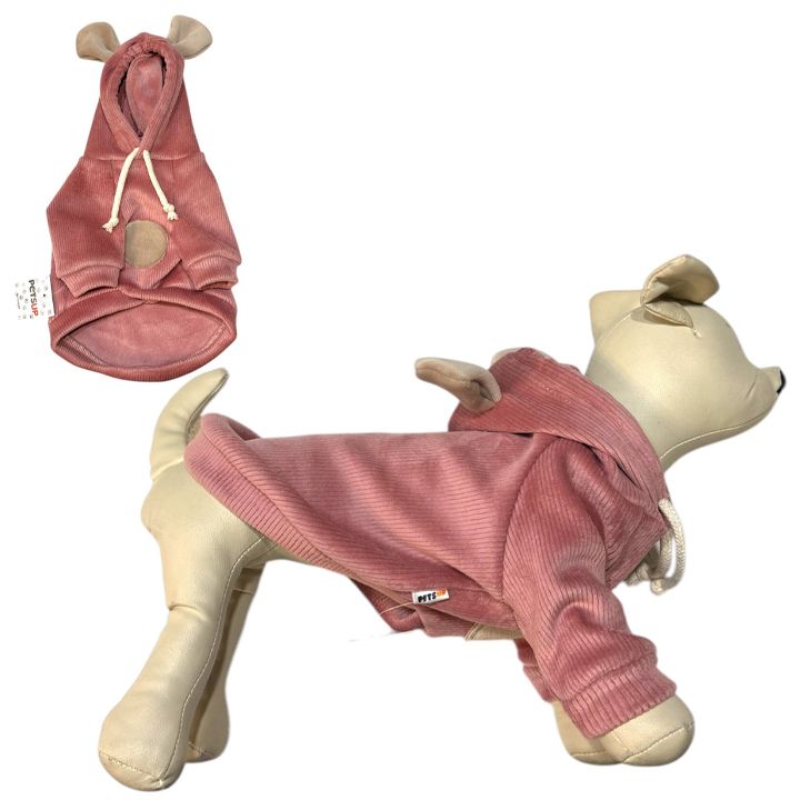 petsup-dzaghlis-tansatsmeli