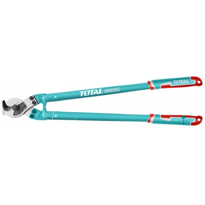 total-tht115362-el-sadenis-gadasachreli-brtqeltucha