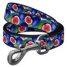Product image of COLLAR ძაღლის ნეილონის საბელი ზომა S 122სმ 15მმ