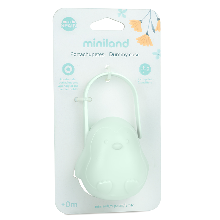 miniland-satsovaras-chasadebi-photo-2