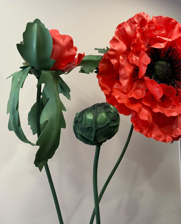 mekos-handmade-giganturi-qaqacho-photo-2