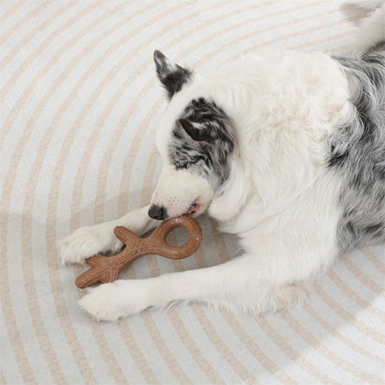 m-pets-chewood-dzaghlis-satamasho-didi-toti-l-photo-3