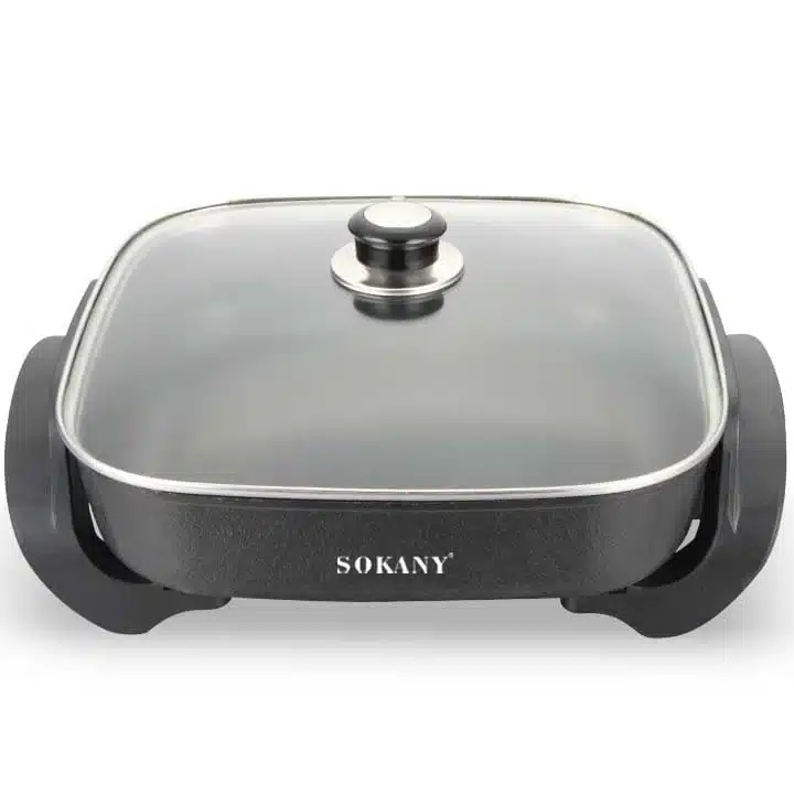 sokany-sk-2005-pitsis-satskhobi-eleqtro-tafa