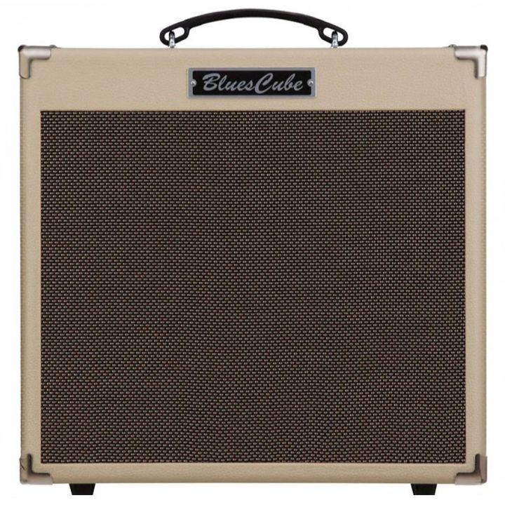 roland-bc-hot-vb-guitar-combo-gitaris-gamadzlierebeli