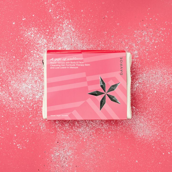 davroe-repair-senses-travel-pack-aghmdgeni-samogzauro-nakrebi-photo-2