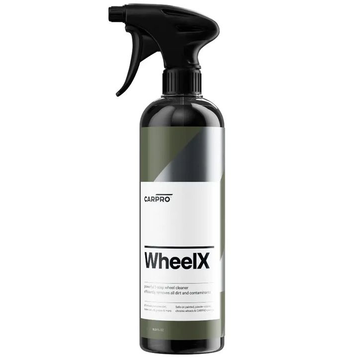 carpro-diskebis-satsmendi-sitkhe