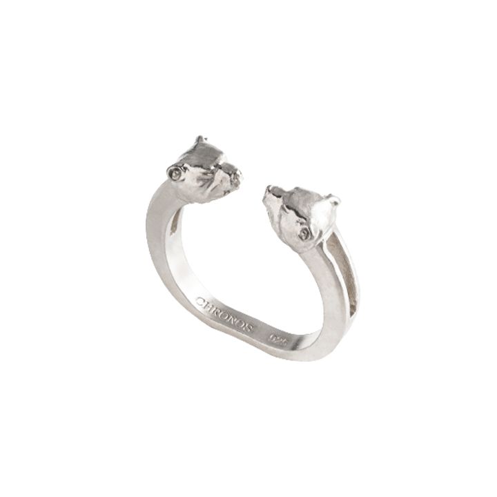 chronos-bechedi-datvis-tavebit