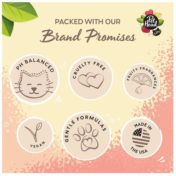 pet-head-felin-good-katis-shampuni-photo-4