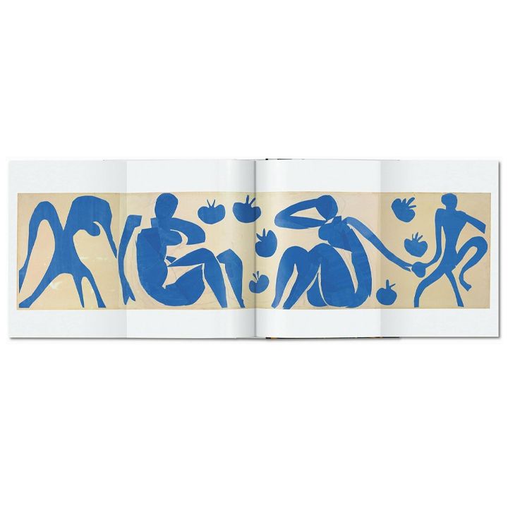 xavier-gilles-neret---matisse-cut-outs-photo-3