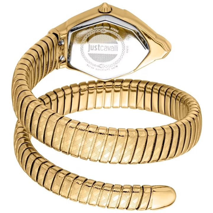 just-cavalli-jc1l303m0025-qalis-saati-photo-2