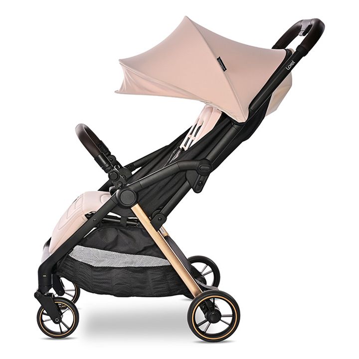 lorelli-loret-sabavshvo-etli-photo-2